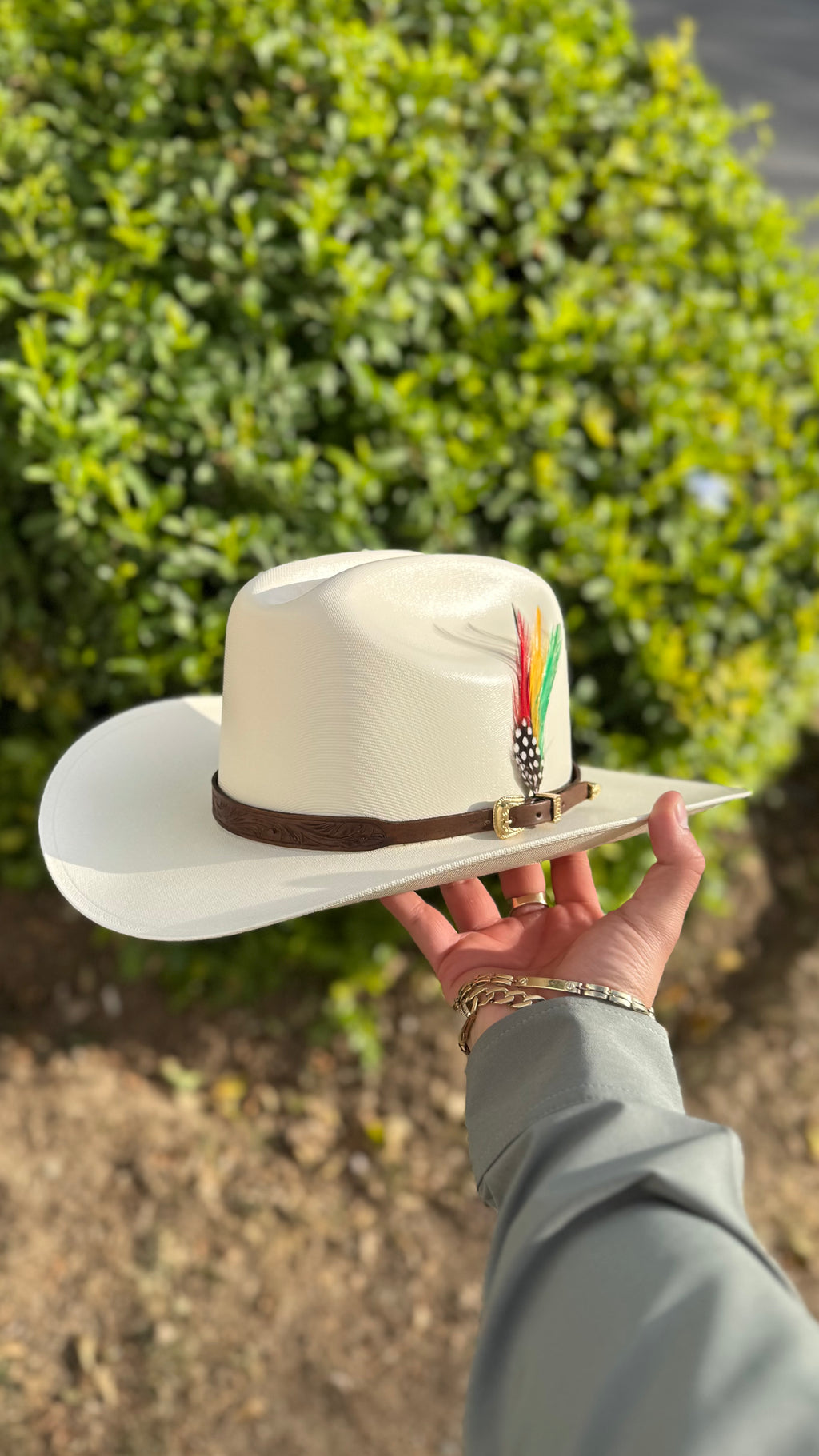 Rancher Edicion Cincelada Cafe 5000x Diamantes