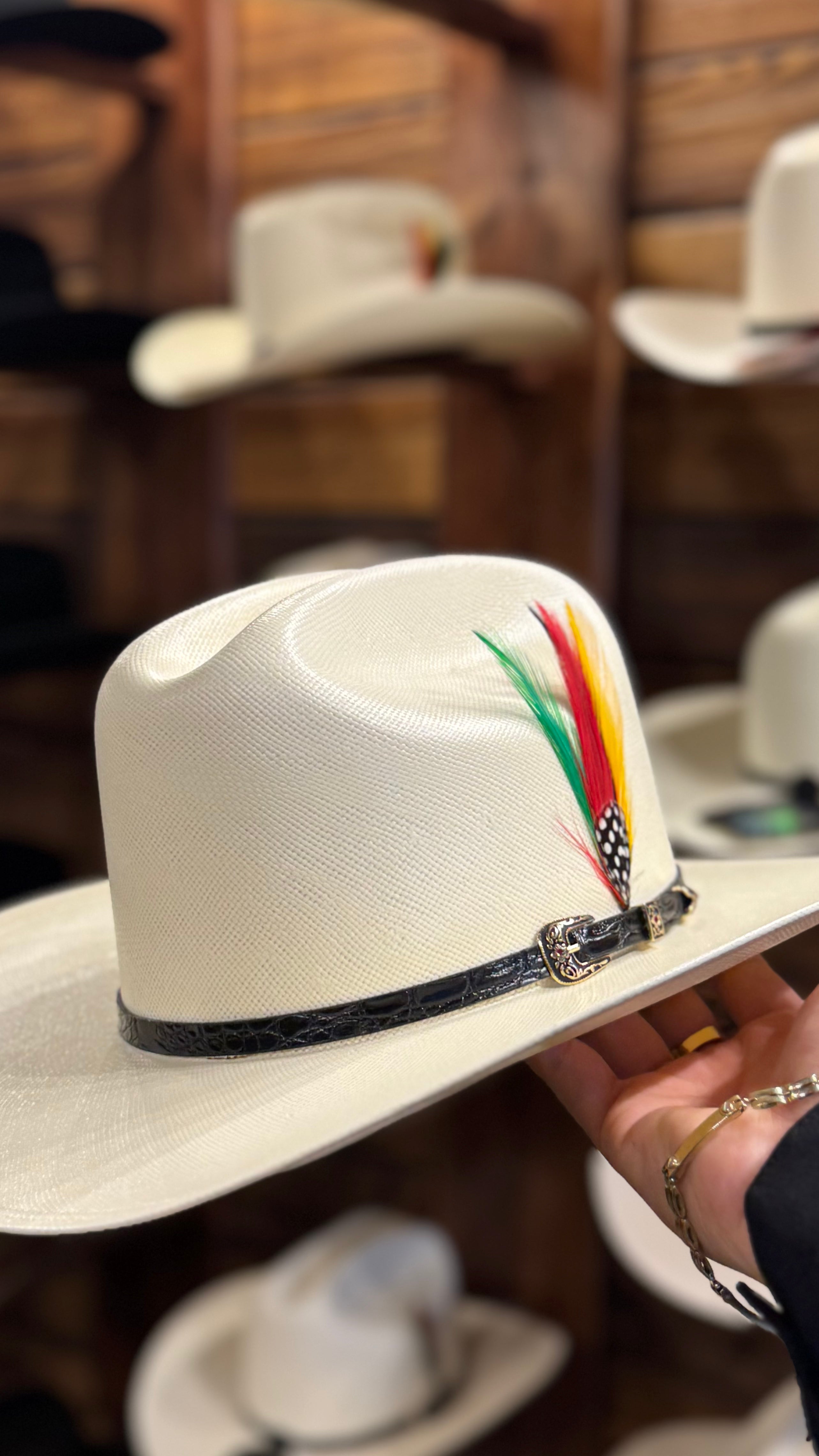 Sinaloa Clasico 300X