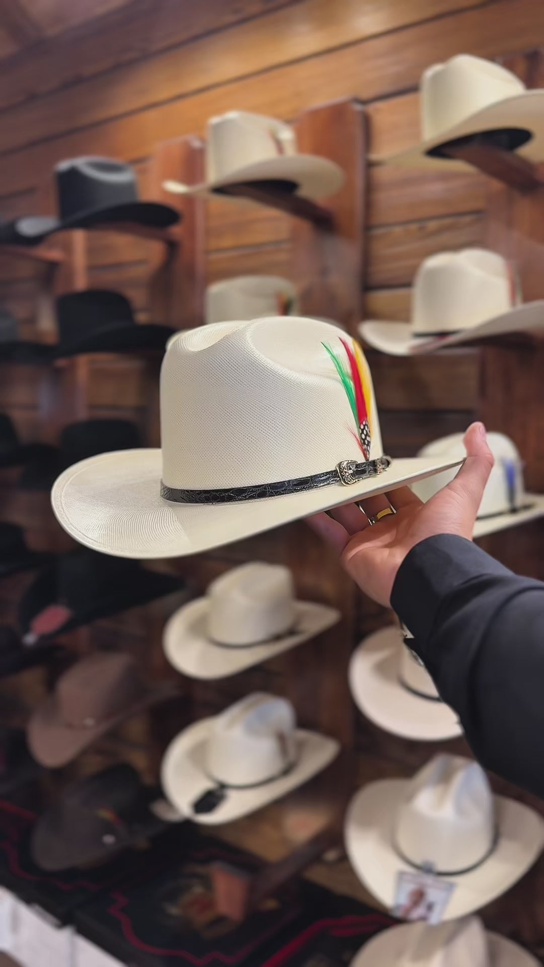 Sinaloa Clasico 300X