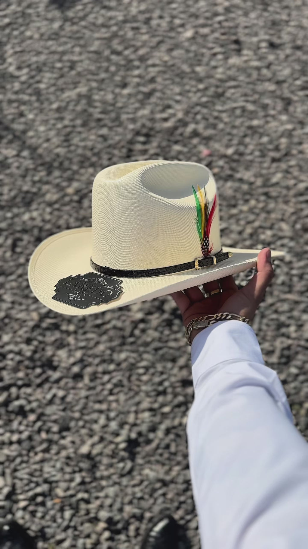 Sinaloa Edicion Avestruz Negro 1000x